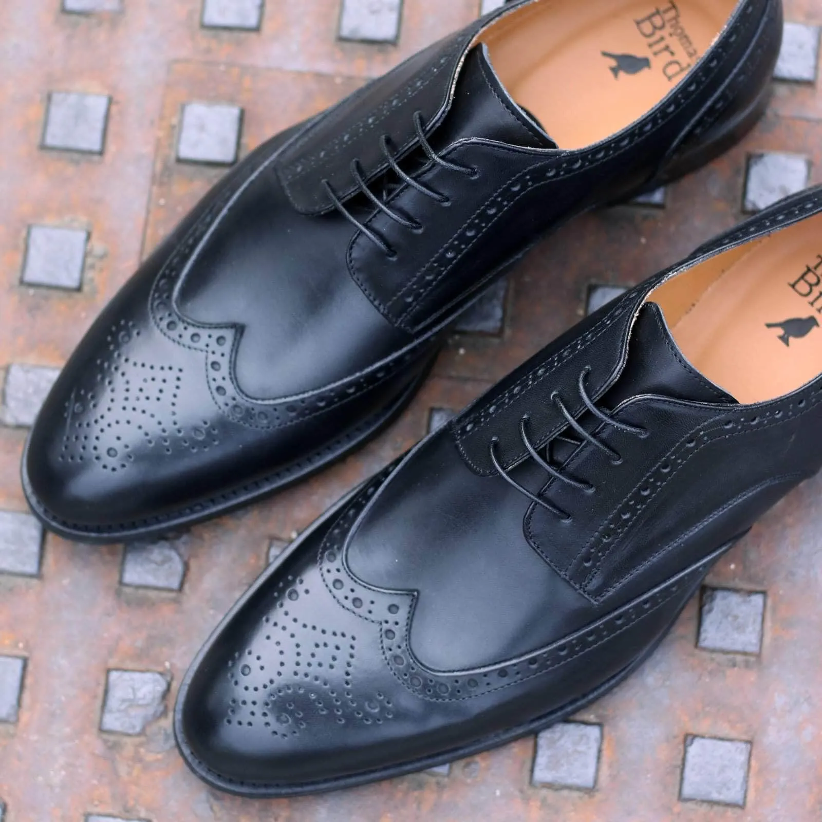 Ashbourne Wingtip Derby Shoes Black